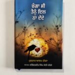 Changa Si Tainu Dil Naa Dende | Mushtak Aalm Goga | Punjabi Poetry & Love Literature