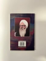 Pathar Kamba - Nanak Singh -  Punjabi Books - Pathar Kaaba - Image 2